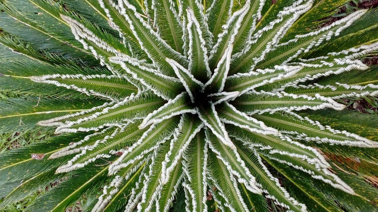 Posada Camboata Арістобуло-дель-Валле Екстер'єр фото
